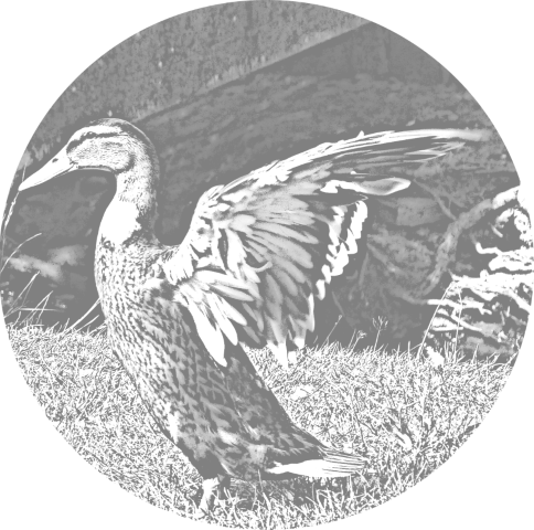 Ferienwohnung am Nationalpark Kellerwald-Edersee