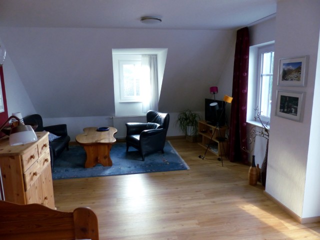 Fernsehecke im Wohnschlafzimmer